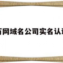 万网域名公司实名认证(企业域名实名认证证件类型怎么填写)