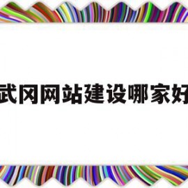 武冈网站建设哪家好(武冈市建设工程招标投标网首页)