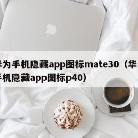 华为手机隐藏app图标mate30（华为手机隐藏app图标p40）