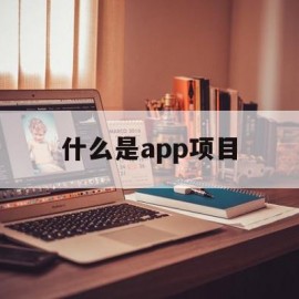 什么是app项目(app是什么项目类型)