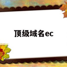 顶级域名ec(顶级域名二级域名三级域名顺序)