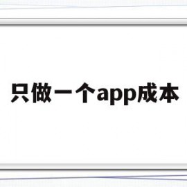 只做一个app成本(只做一个app成本高吗)