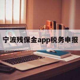 宁波残保金app税务申报(2023年残保金税务申报流程及时间)