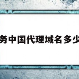 包含商务中国代理域名多少钱的词条