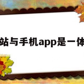 网站与手机app是一体吗(手机app网址和电脑端一样吗)