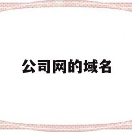 公司网的域名(公司网的域名怎么看)