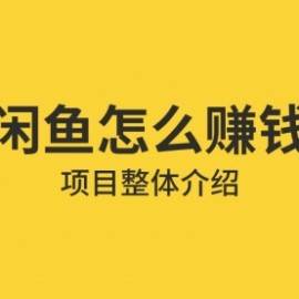 龟课·闲鱼无货源电商课程第19期：操作好一天出几单，赚个几百块钱