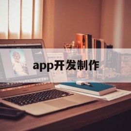 app开发制作(制作app平台需要多少钱)