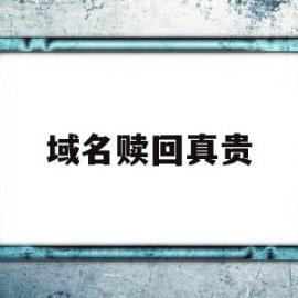 域名赎回真贵(域名过了赎回期后多久能重新注册)