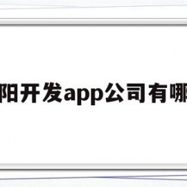 贵阳开发app公司有哪些(贵阳开发app公司有哪些地方)