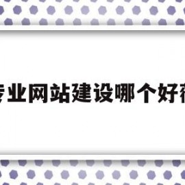 专业网站建设哪个好薇(专业网站建设公司需要做好哪些方面的工作)