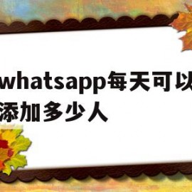 whatsapp每天可以添加多少人(whatsapp可以加外国人吗)