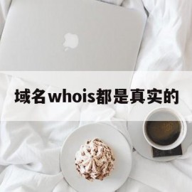 域名whois都是真实的(域名实际上是)