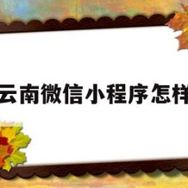 云南微信小程序怎样(昆明微信小程序)