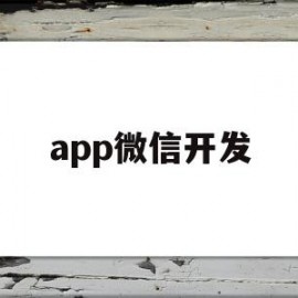 app微信开发(微信开发应用平台)