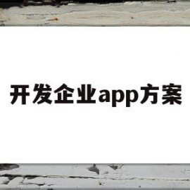 开发企业app方案(开发企业app方案怎么写)