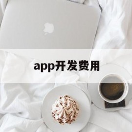 app开发费用(app开发费用标准)