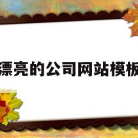 漂亮的公司网站模板(公司网站页面设计模板)