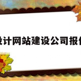 设计网站建设公司报价(设计网站建设公司报价明细表)