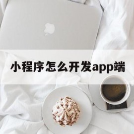 小程序怎么开发app端(“小程序怎么开发自己的小程序”)