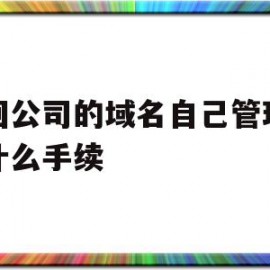 包含拿回公司的域名自己管理需要什么手续的词条