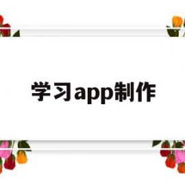 学习app制作(初学app怎样做)