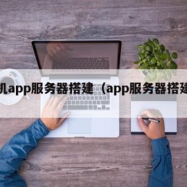 手机app服务器搭建（app服务器搭建教程）