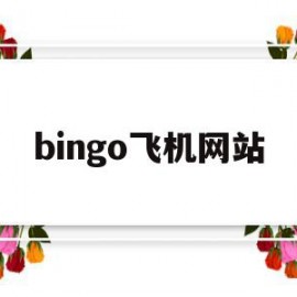 bingo飞机网站(bingou什么意思)