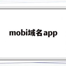 mobi域名app(mobi域名5g下的前景)