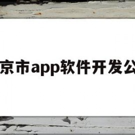 南京市app软件开发公司(南京市app软件开发公司排名)