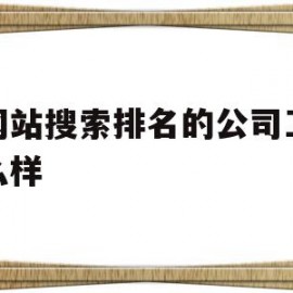 做网站搜索排名的公司工作怎么样(做网站搜索排名的公司工作怎么样啊)