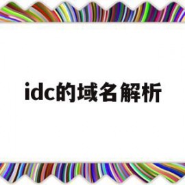 idc的域名解析(域名解析ip查询查询网)