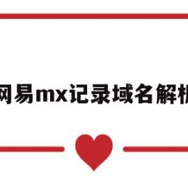 网易mx记录域名解析(域名解析的记录值是什么)