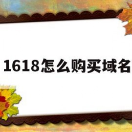 1618怎么购买域名(怎么找到自己购买的域名)