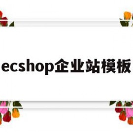 ecshop企业站模板(ecshop站内快讯在哪设置)