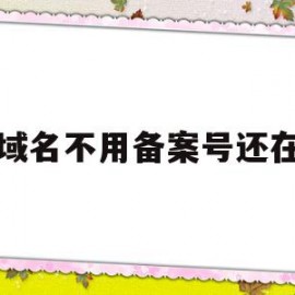 域名不用备案号还在(域名不用备案号还在使用吗)