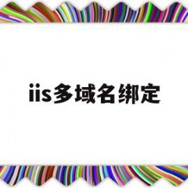 iis多域名绑定(iis绑定域名 ip不能访问)