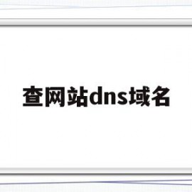 查网站dns域名(dns域名查询方式)