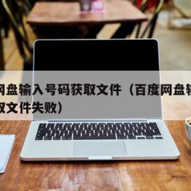 百度网盘输入号码获取文件（百度网盘输入号码获取文件失败）