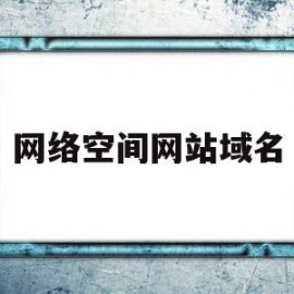 网络空间网站域名(网络空间域名被公安局带走)