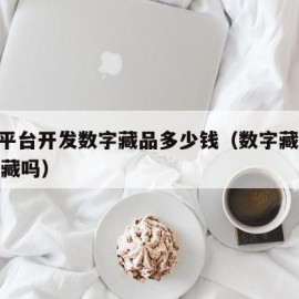 app平台开发数字藏品多少钱（数字藏品值得收藏吗）