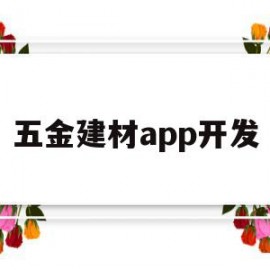 五金建材app开发(五金建材店用什么软件管理)