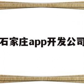 石家庄app开发公司(石家庄软件开发培训机构)