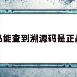 药品能查到溯源码是正品吗(有溯源码的药品一定是真的吗)