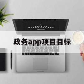 政务app项目目标(政务app项目目标怎么写)