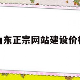 山东正宗网站建设价格(北京B2B网站建设公司价格)