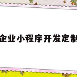 企业小程序开发定制(小程序定制开发解决方案)