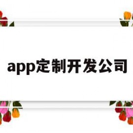 app定制开发公司(app定制开发公司有哪些)