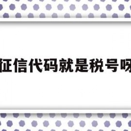 征信代码就是税号呀(征信代码和纳税人识别号)