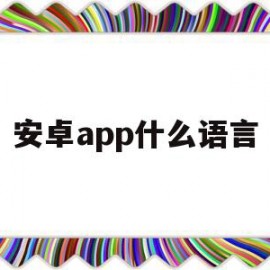 安卓app什么语言(安卓app什么语言最好用)